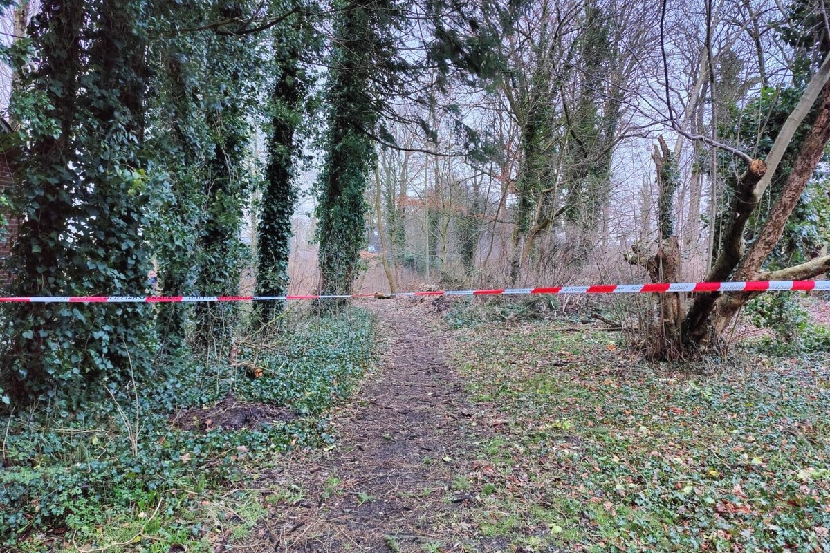 Stade NI - 20 Bäume angesägt