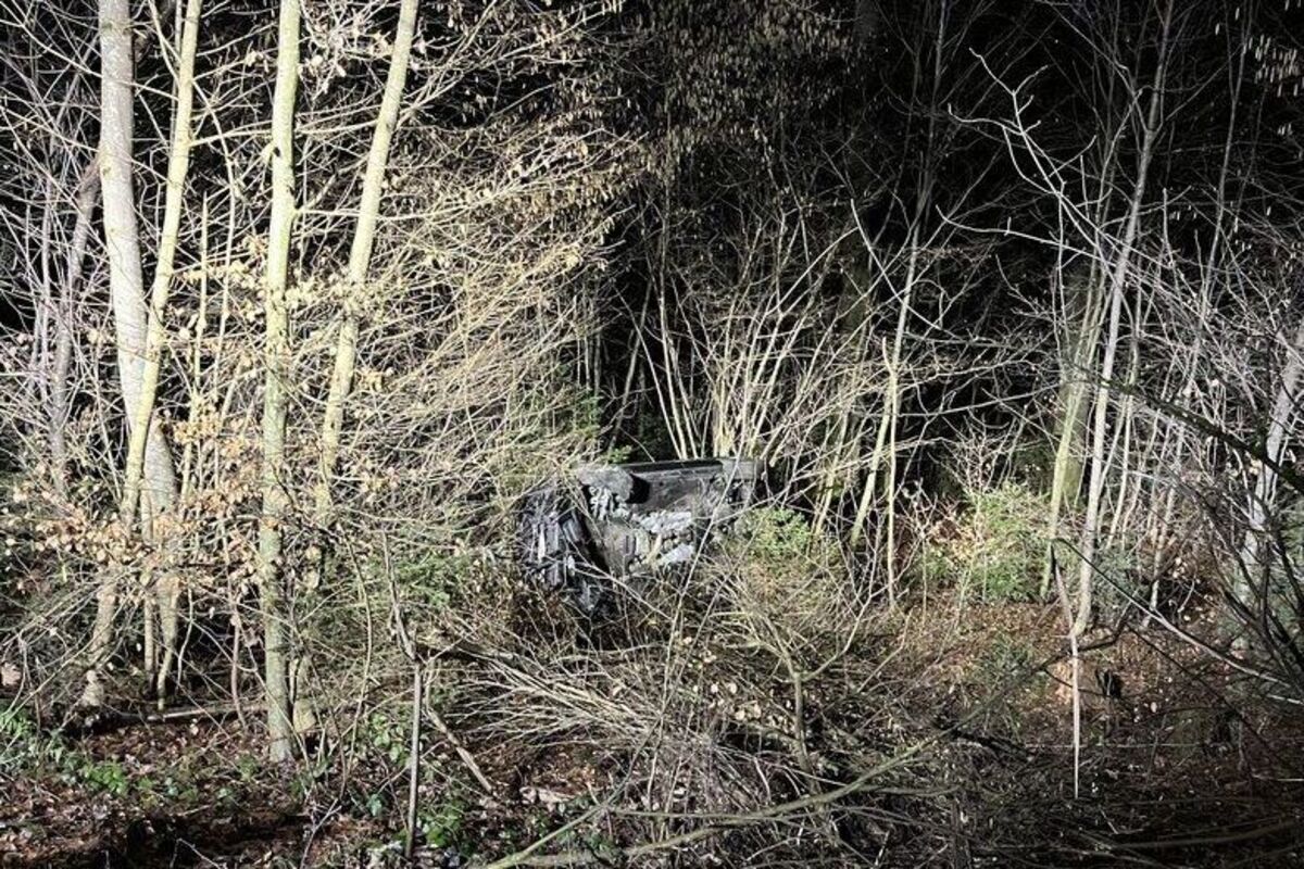 Rudolfstetten AG - Diensthund "Iaro" spürt Flüchtige nach Unfall auf