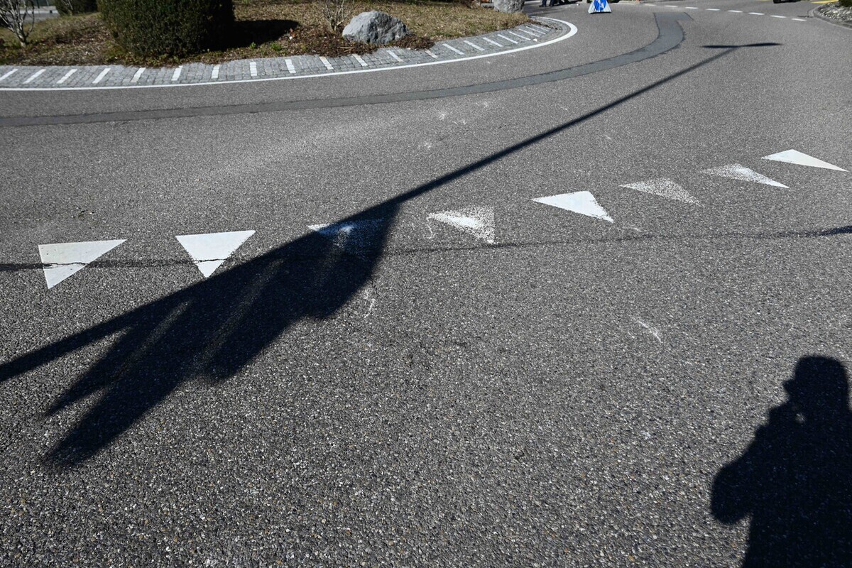 Gossau SG - Mann von einer Pferdekutsche gestürzt - Pferd musste eingeschläfert werden