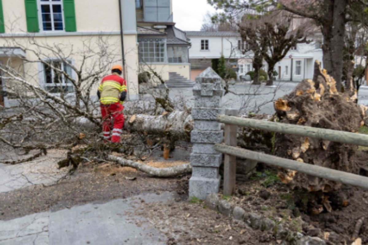 Kanton Zug - Mehrere Unfälle, alkoholisierte Lenker und Schäden nach dem Föhnsturm