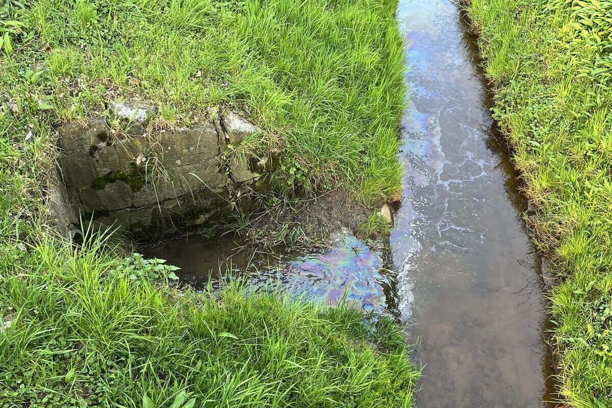 Rebstein SG - Mehrere Bäche verunreinigt