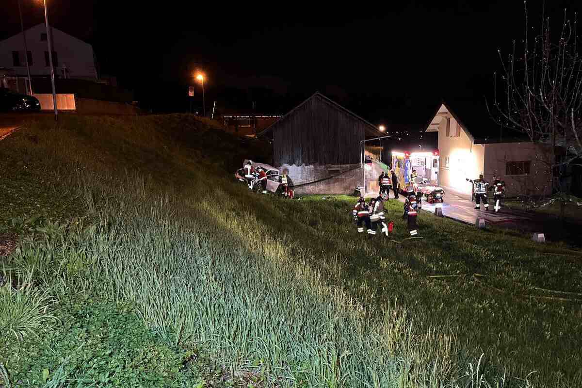 Trimbach SO - Alkoholisiert von der Strasse abgekommen