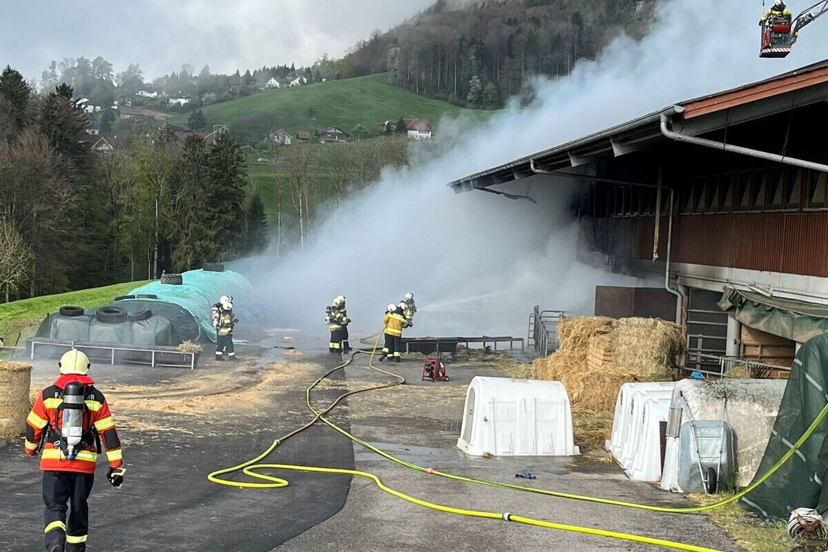 Günsberg SO - Brandausbruch in einem Rinderstall