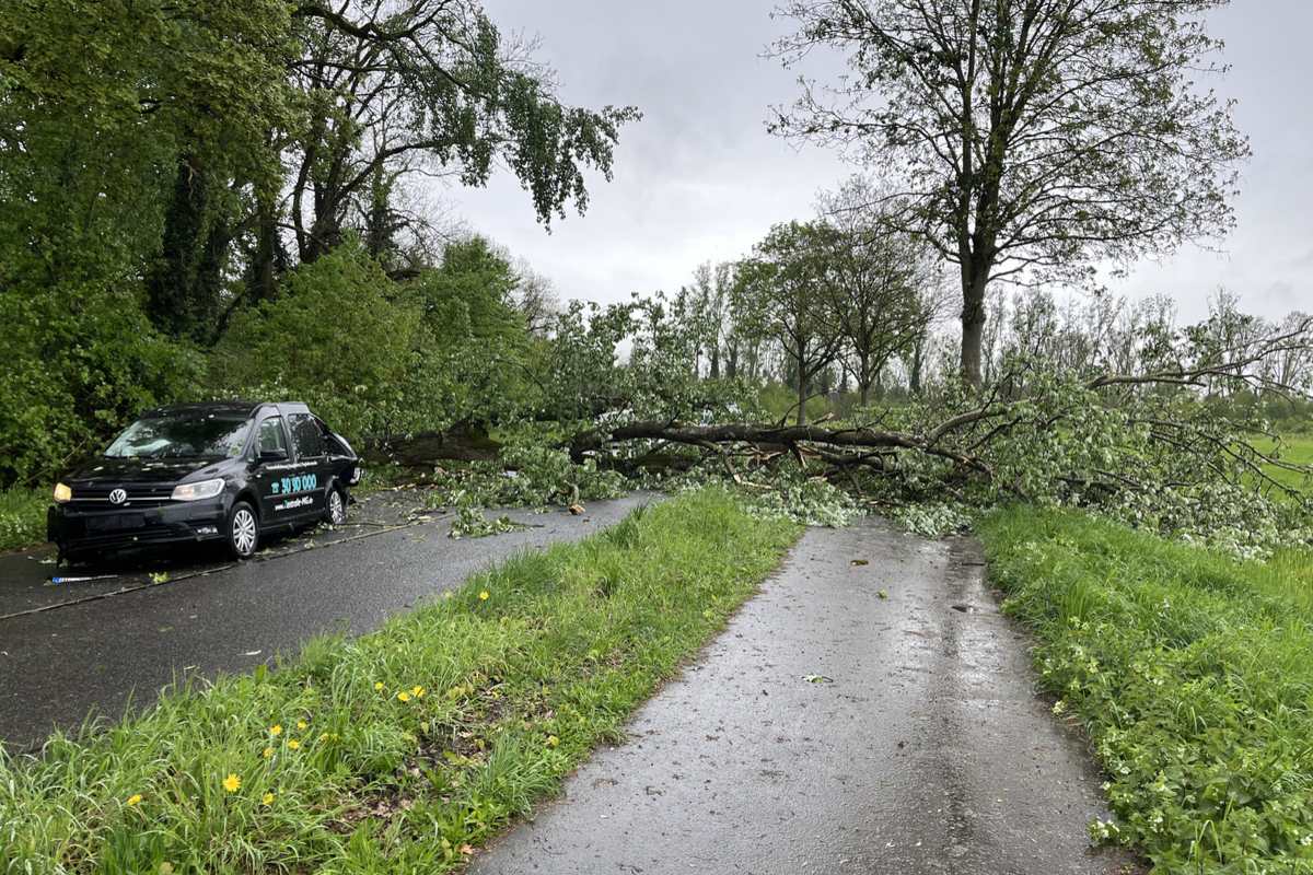 Mönchengladbach - Baum auf Auto gestürzt