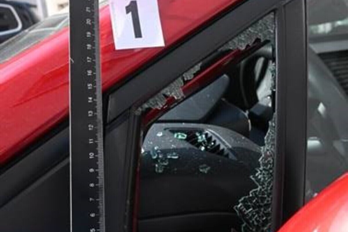 Wien/Niederösterreich - Rund 500 Straftaten wurden geklärt