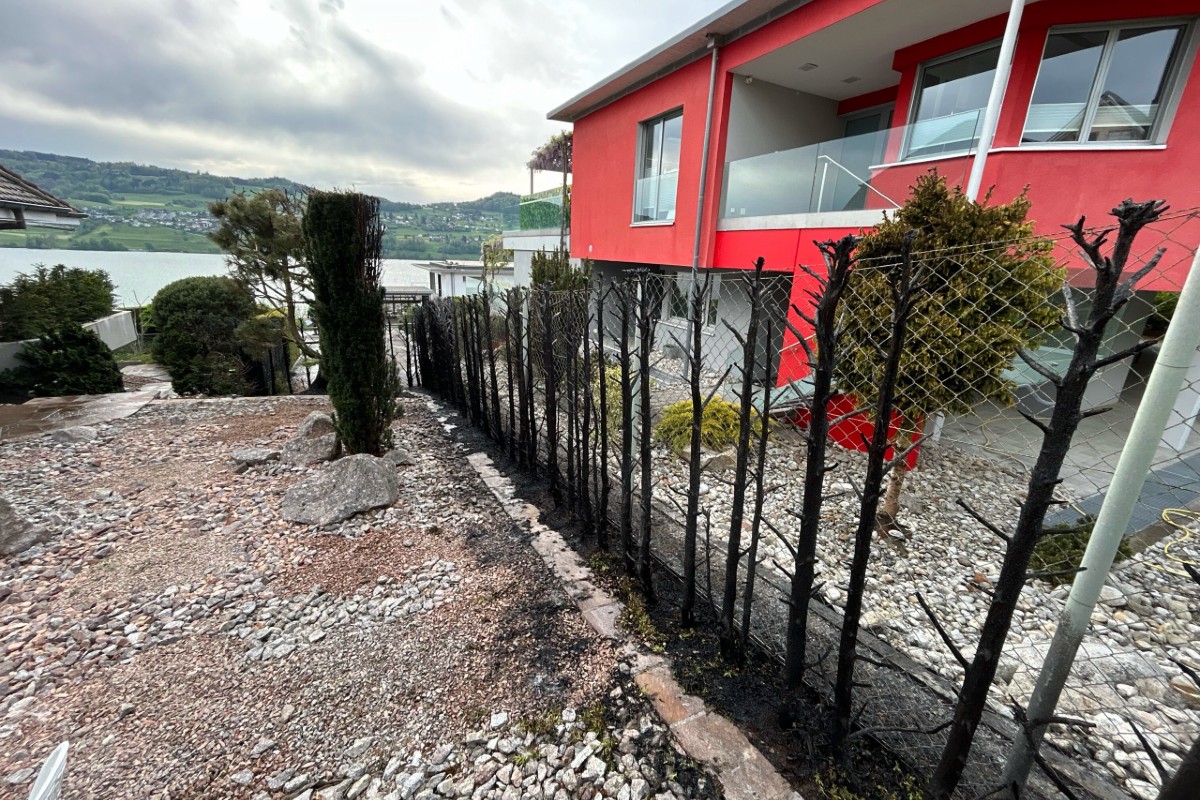 Leutwil / Meisterschwanden AG - Brände beim Unkraut vernichten