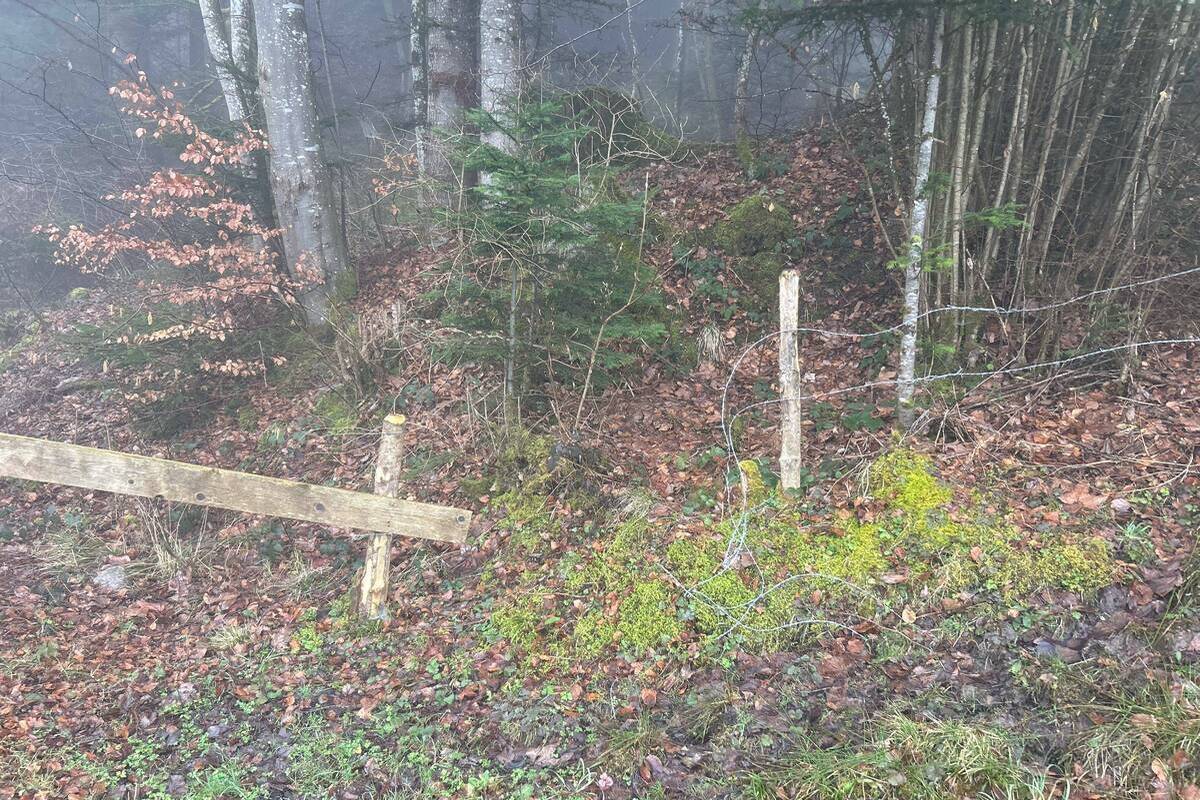 Kanton Schwyz - Mehrere Weidezäune beschädigt - Zeugen gesucht