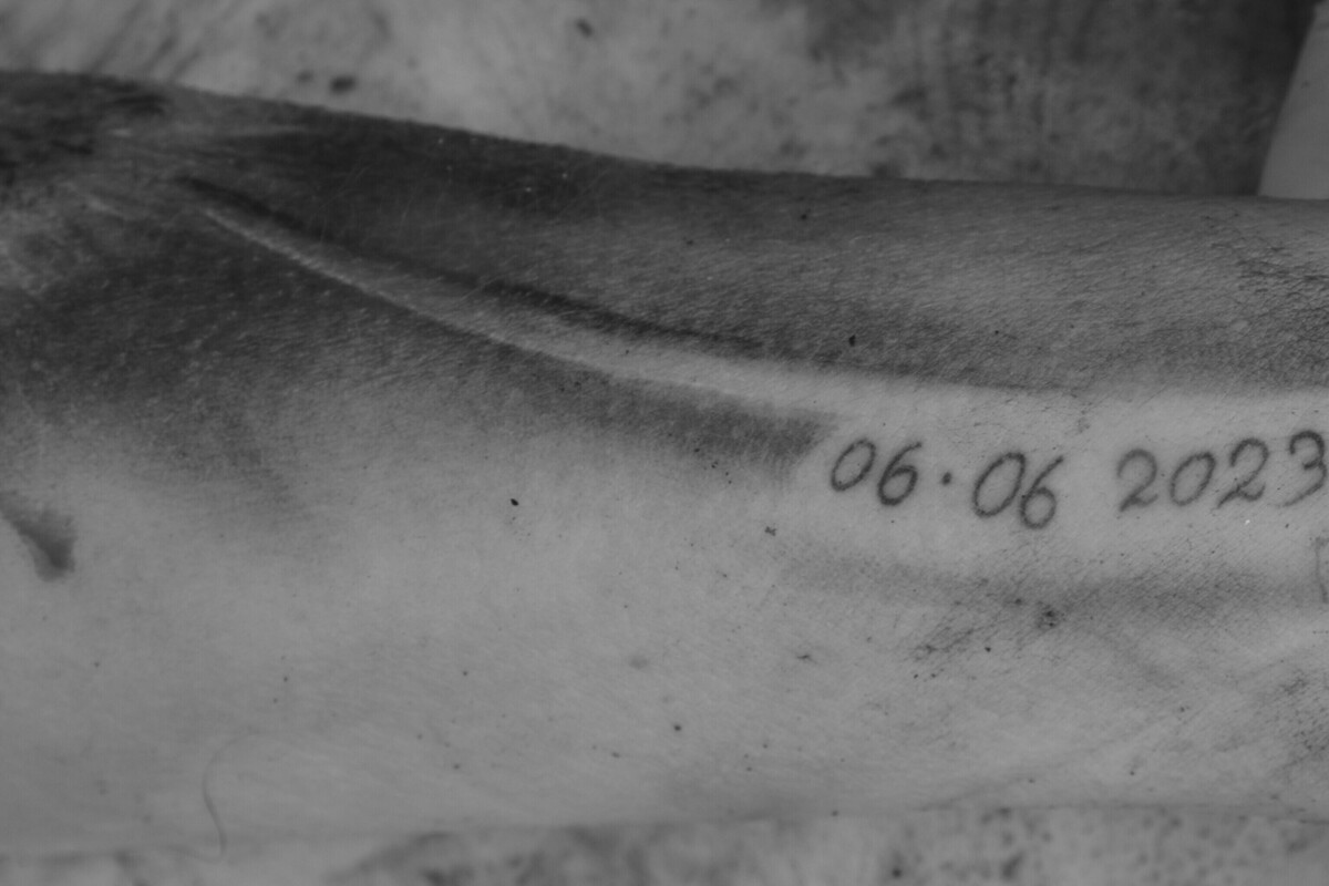 Peine - Frau von Zug erfasst - Identität unklar 