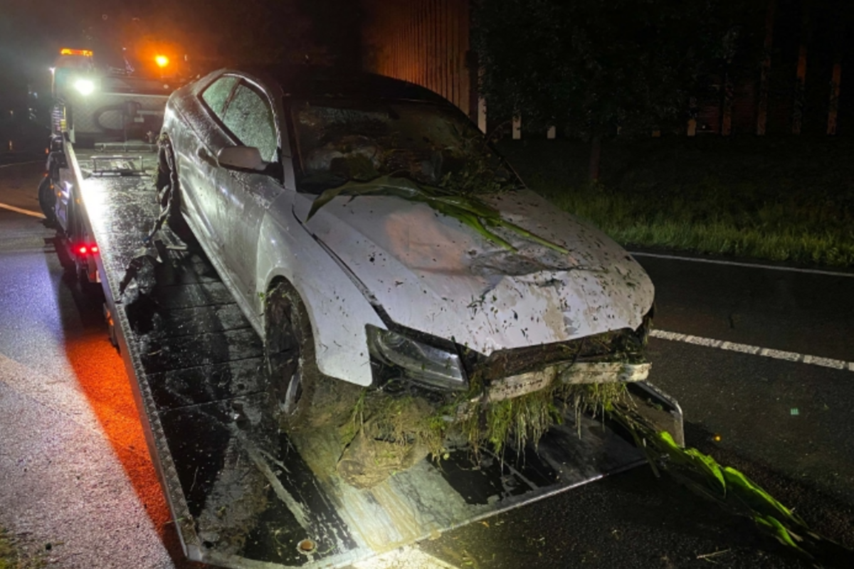 Unfälle im Kanton Zug - Alkoholisiert im Maisfeld gelandet