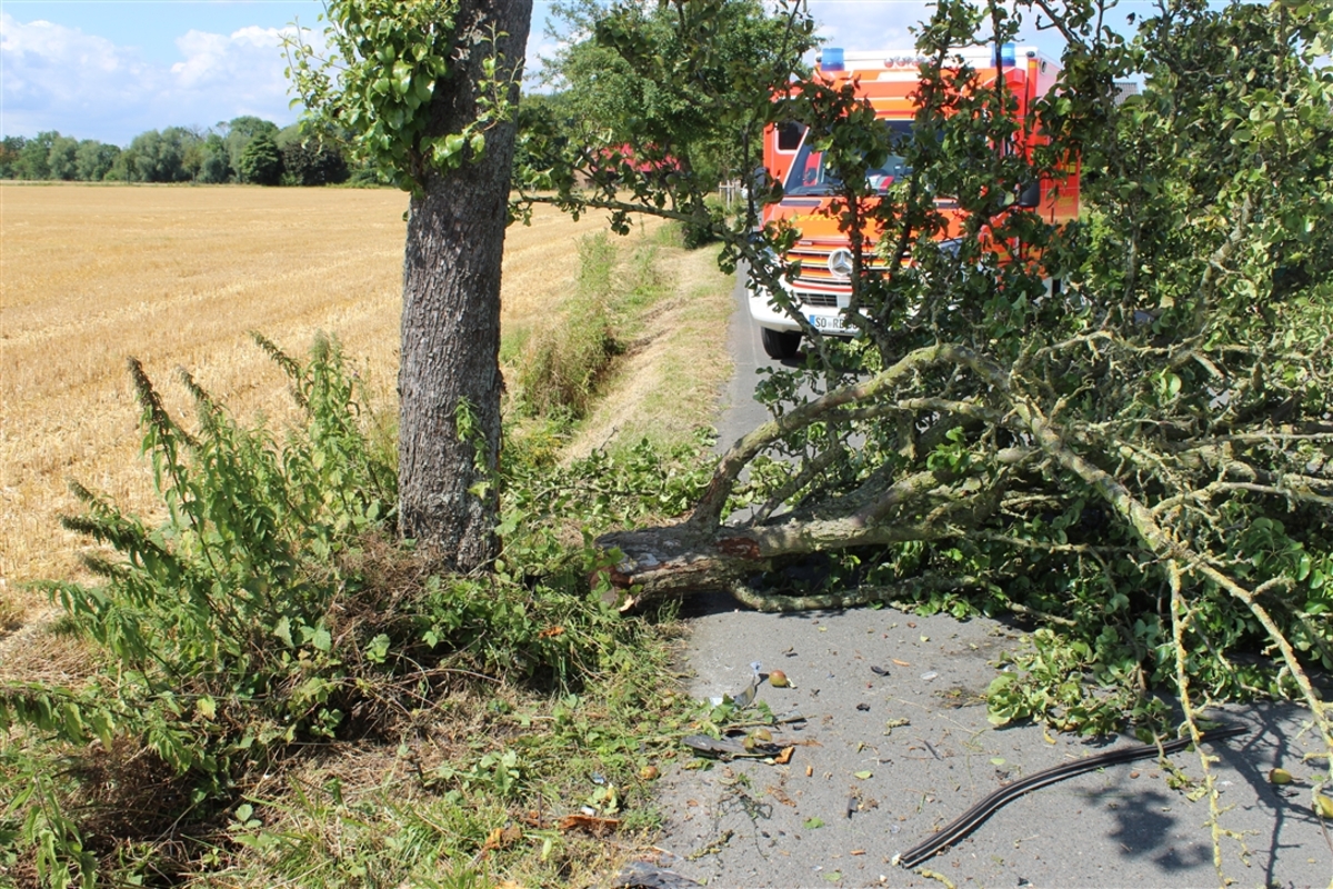 Soest - Heftig mit einem Baum kollidiert 
