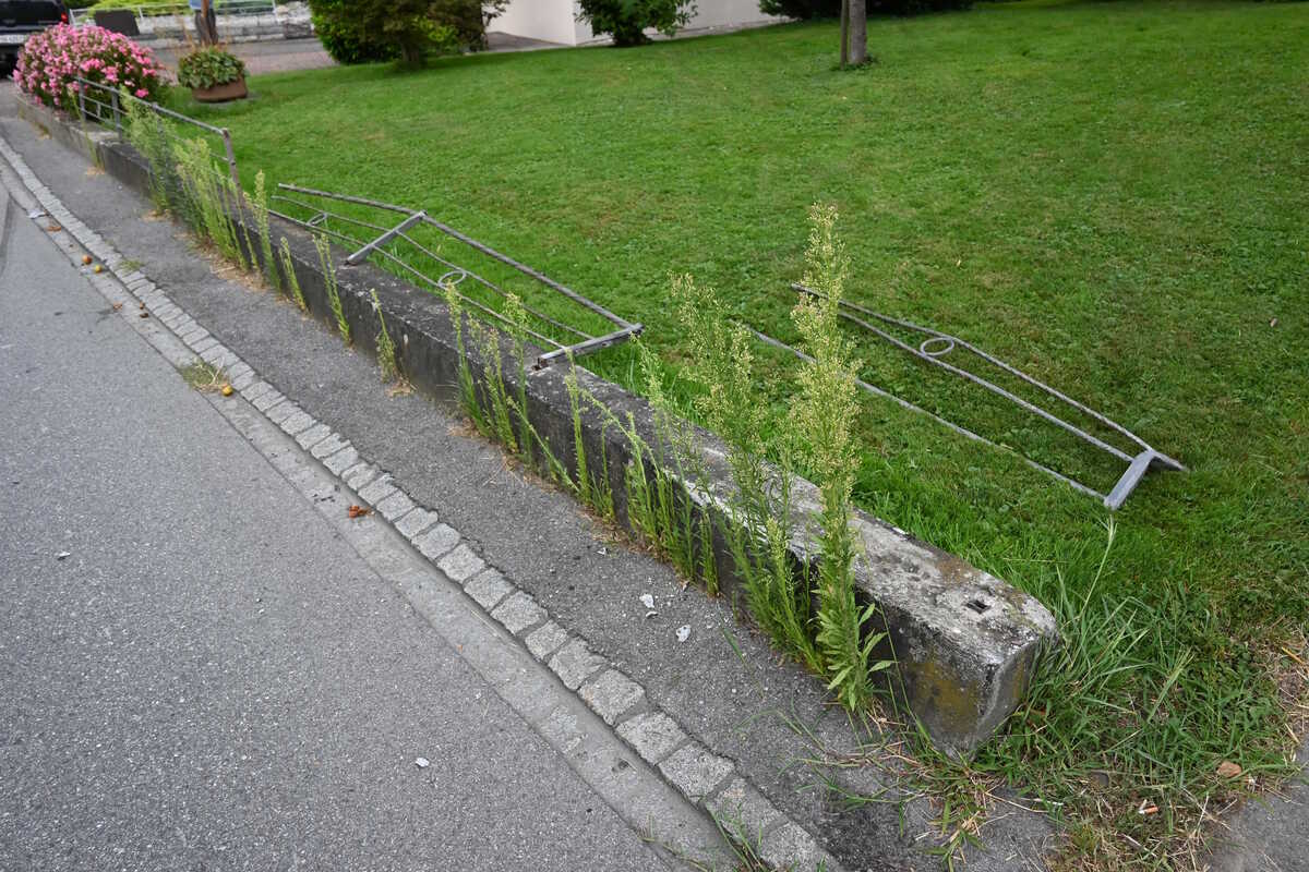 Kriessern SG - Schwächeanfall führt zu Verkehrsunfall