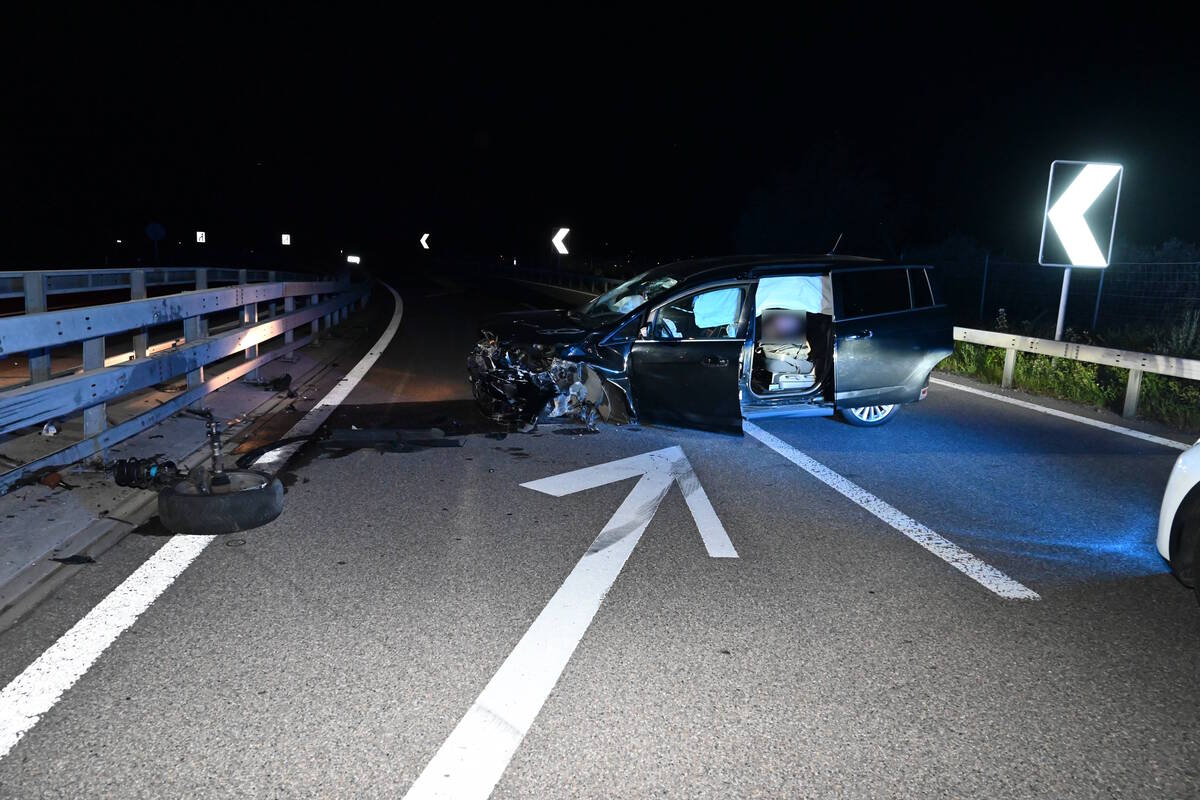 Mels SG - Unfall auf der A13 - Fuchs ausgewichen