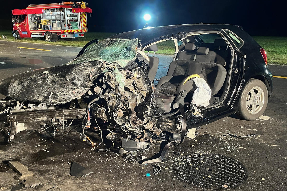 Der Autofahrer musste schwer verletzt in ein Spital gebracht werden.