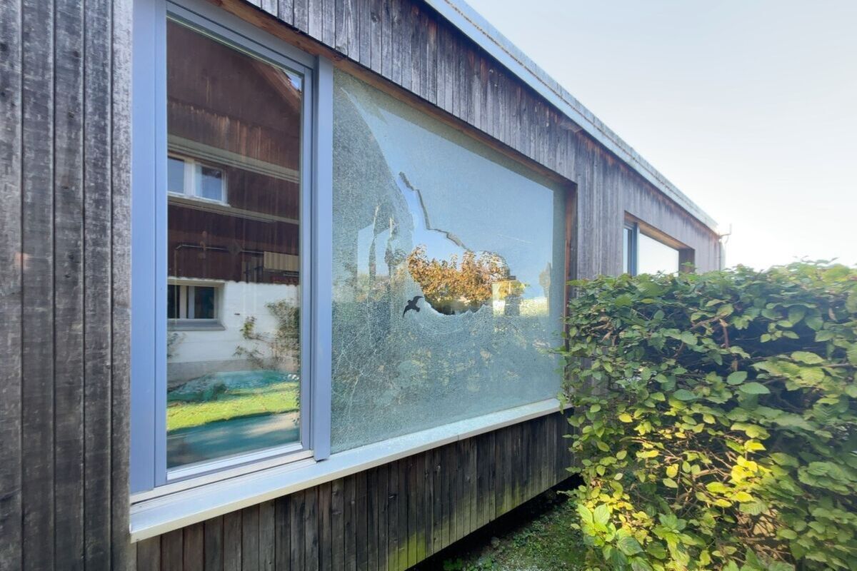 Kanton Solothurn - Mehrere Fälle von Sachbeschädigung - Baustellentoilette in einen Bach geworfen