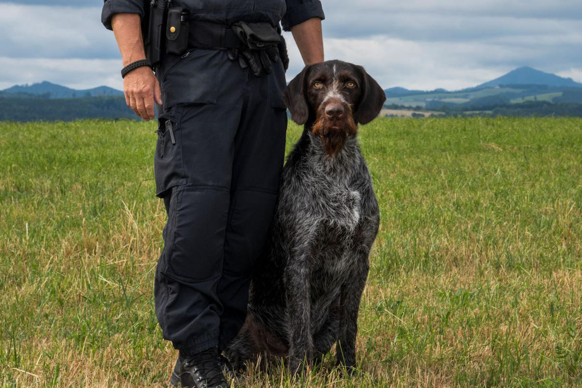 St. Pölten - Erfolgreiche Suche nach abgängigem Mann