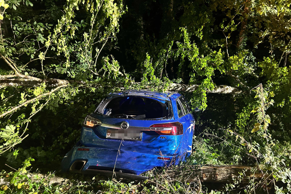 Möhlin AG – Mit Opel in Wald gelandet