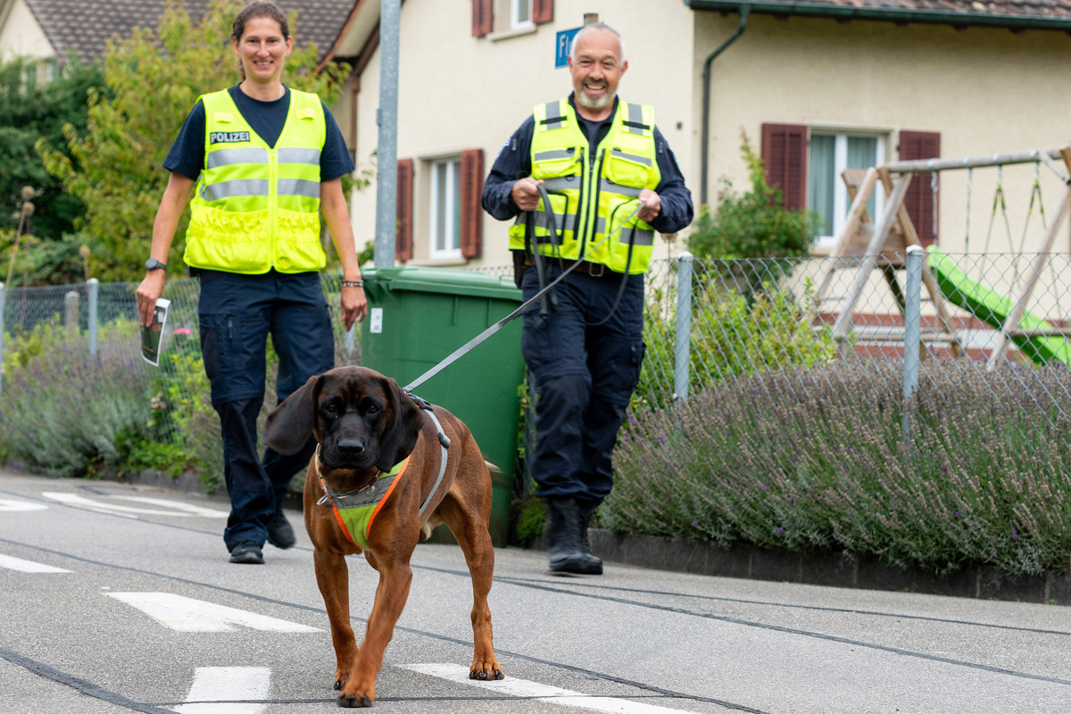 Würenlingen AG - Polizeihund «Farouk» spürt verunfallten Senioren auf
