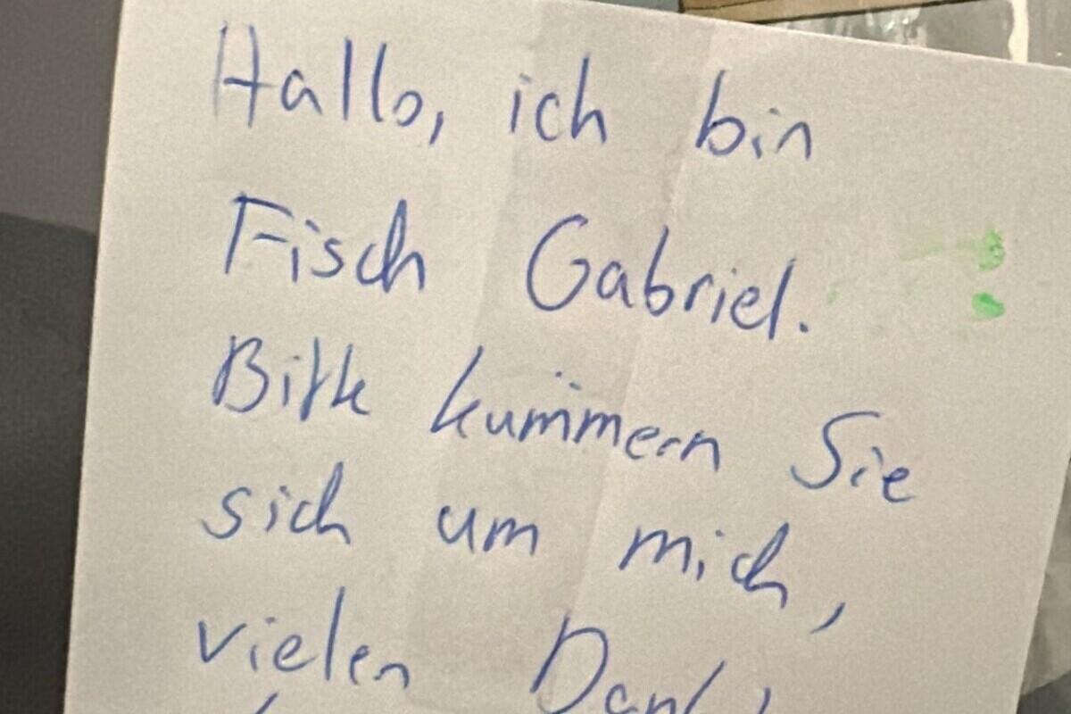 Hamburg – Fisch wurde zum Verschenken abgelegt