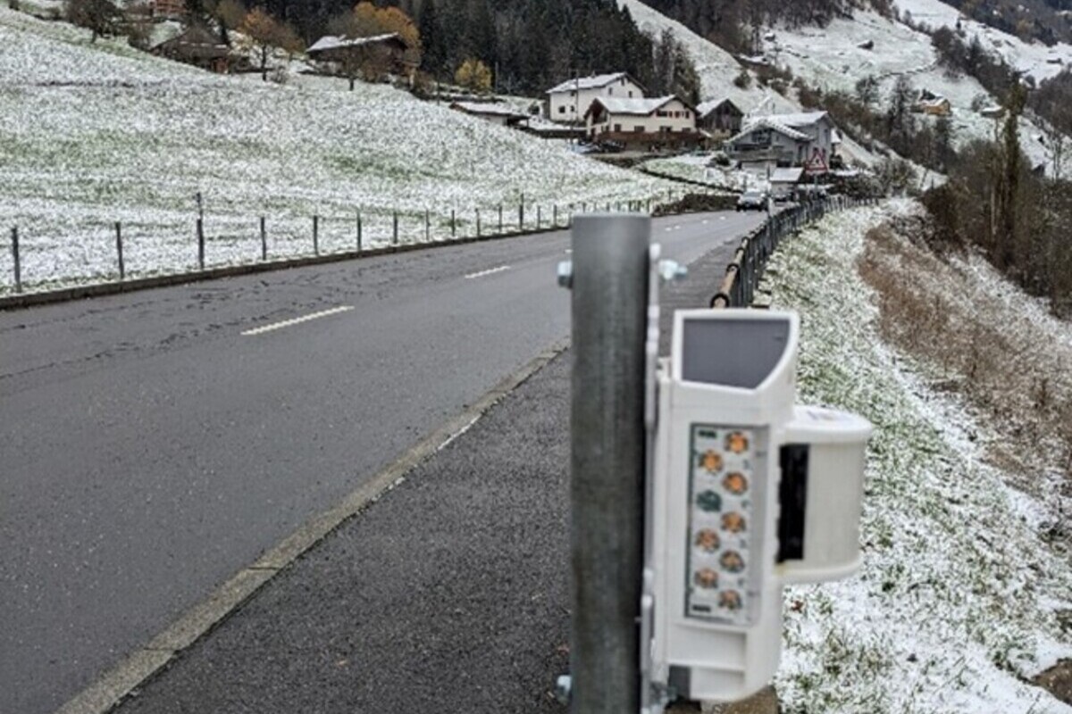 Bürglen UR – Neues Warnsystem soll Kollisionen zwischen Wildtieren und Fahrzeugen verhindern