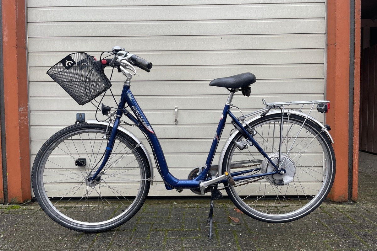 Sulingen – Zwei Schafe getötet