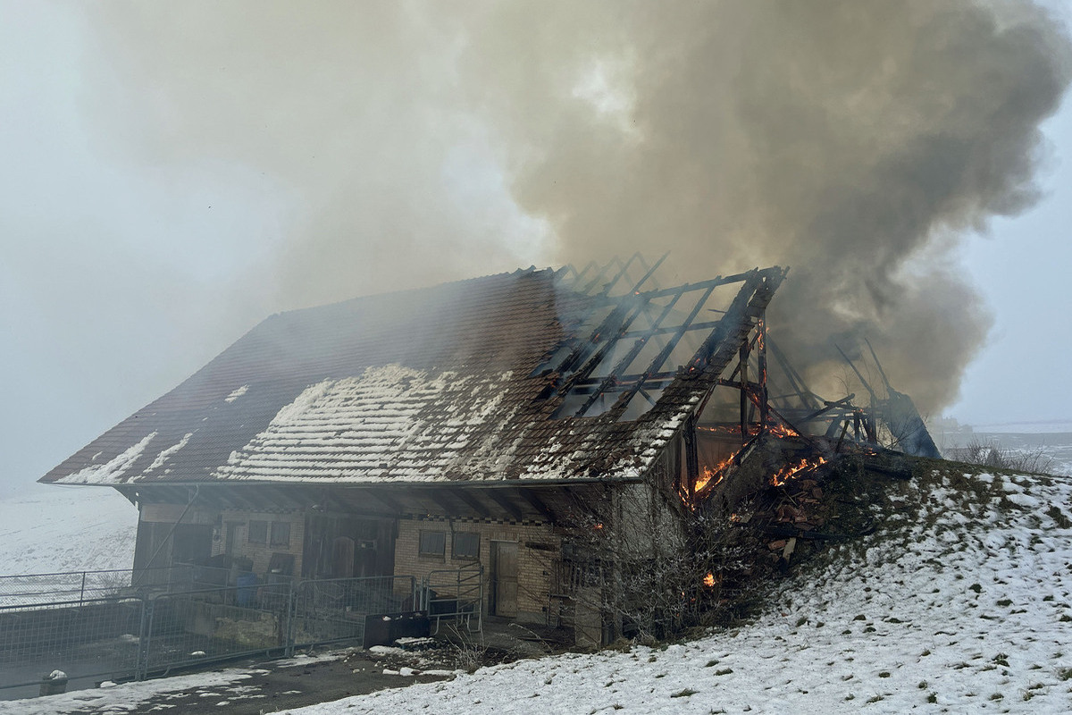 Neuenkirch LU – Brandausbruch in einer Scheune