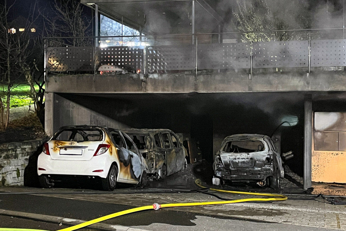 Inwil LU – Neun Fahrzeuge bei Brand zerstört