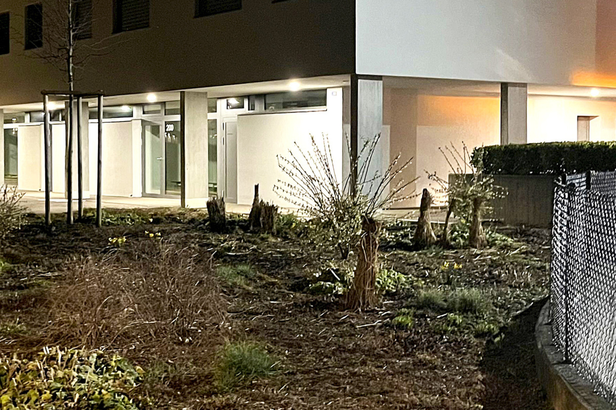 Allschwil BL – Grasstauden in Brand