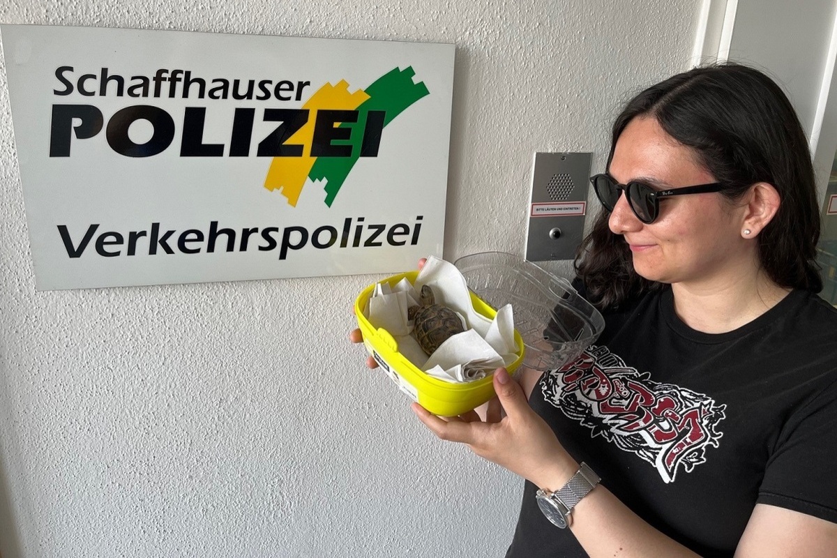 Schaffhausen – Schildkröte wieder mit Besitzerin vereint