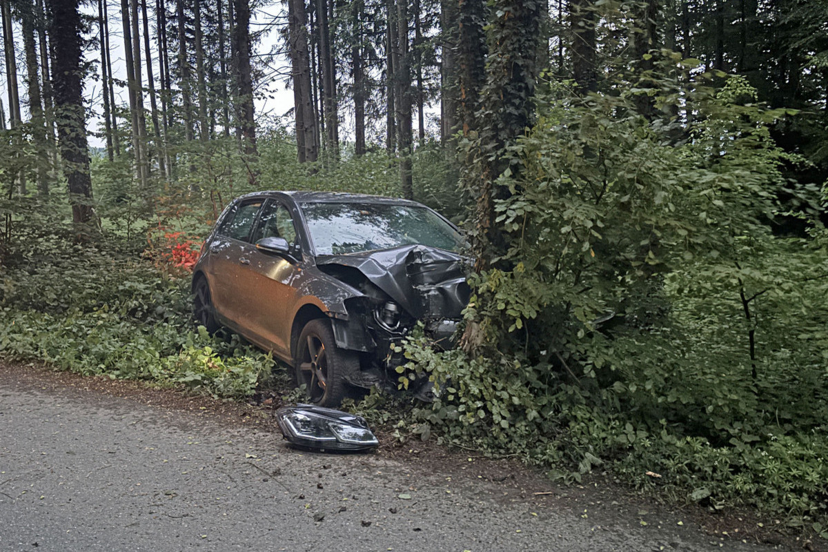 Unfälle in Inwil/Beromünster LU – Gegen Ausfahrtsschild und einen Baum geprallt