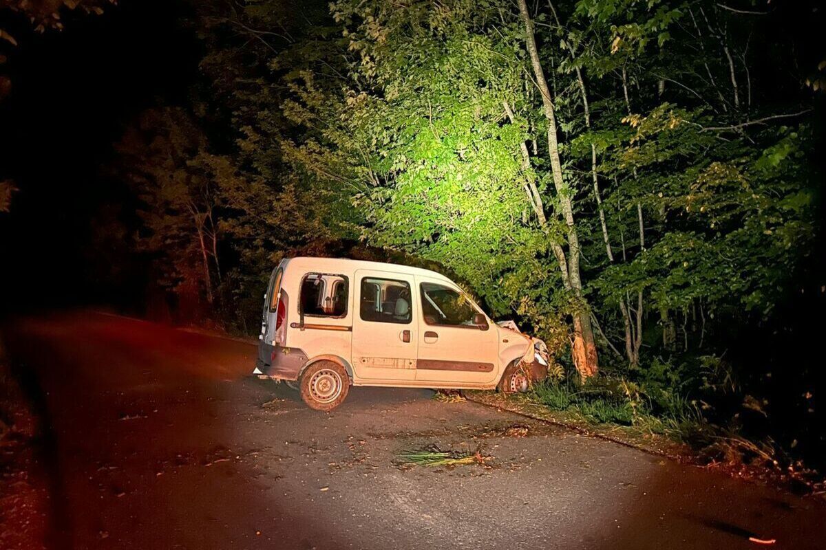 Unfall in Lengnau AG – Alkoholisiert gegen Baum geprallt
