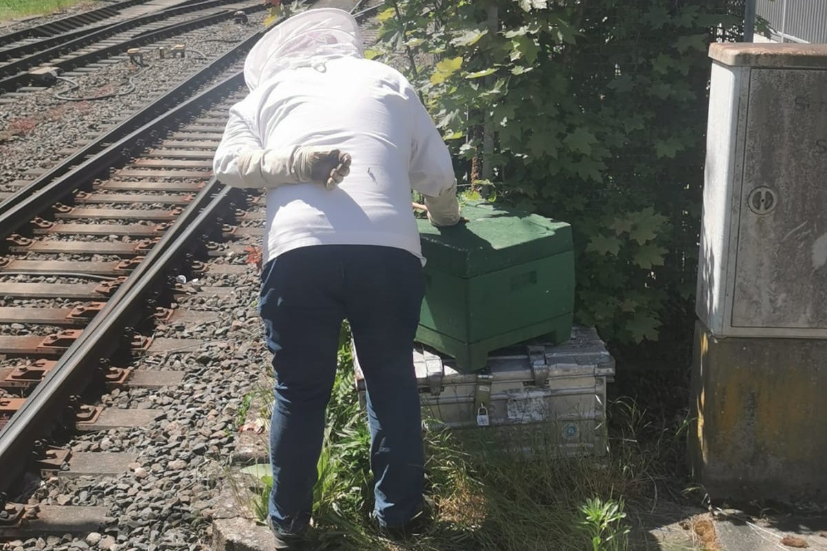 Bahnhof Siegen – Polizeieinsatz und Sperrung wegen verirrten Bienen