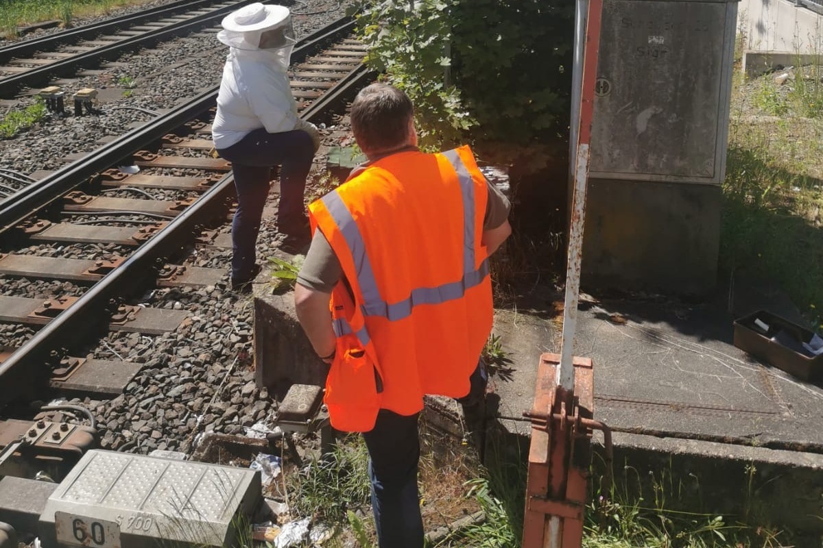 Bahnhof Siegen – Polizeieinsatz und Sperrung wegen verirrten Bienen