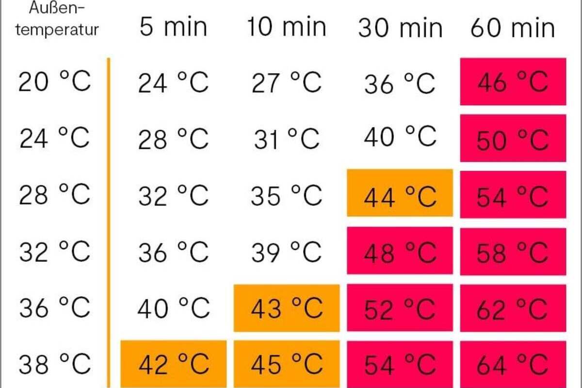 Auto als Hitzefalle – Darf ich die Scheibe einschlagen, um einen Hund zu retten?