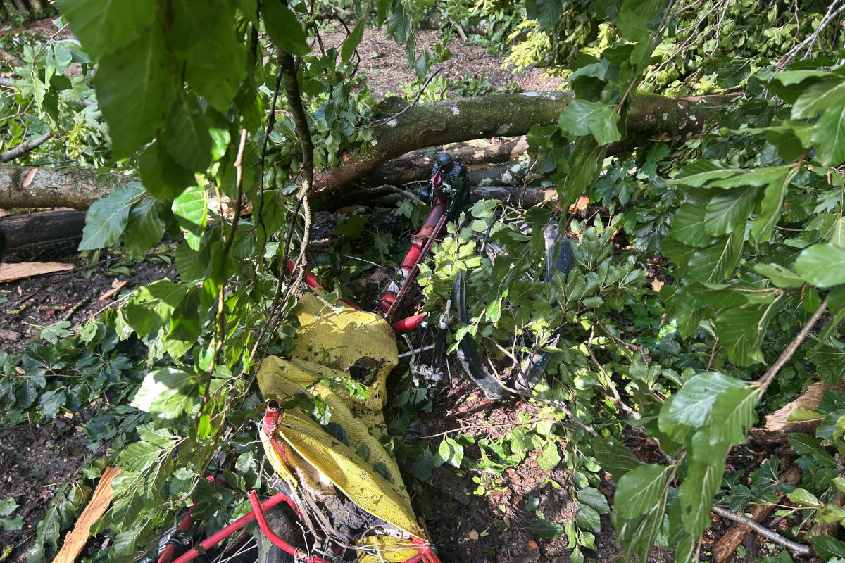 Gewitter im Kanton Aargau – Mädchen von Baumkrone getroffen und schwer verletzt