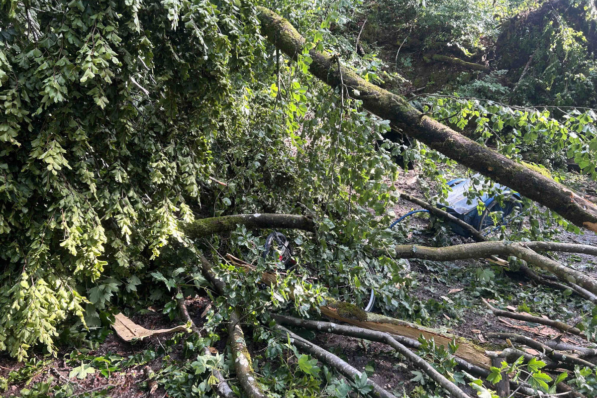 Nach Unwetter in Bözberg AG – Besitzer von beschädigtem Velo gefunden