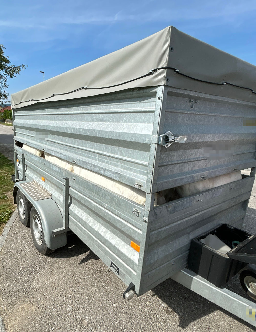 Melk NÖ – Fahrzeuglenker wegen Tierquälerei angezeigt  