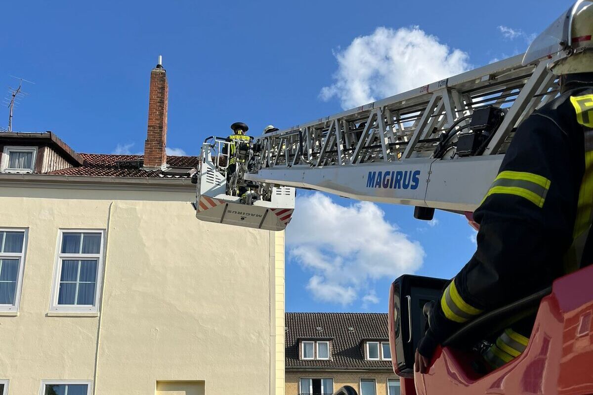 Celle NI – Feuerwehr rettet eingeklemmten Vogel
