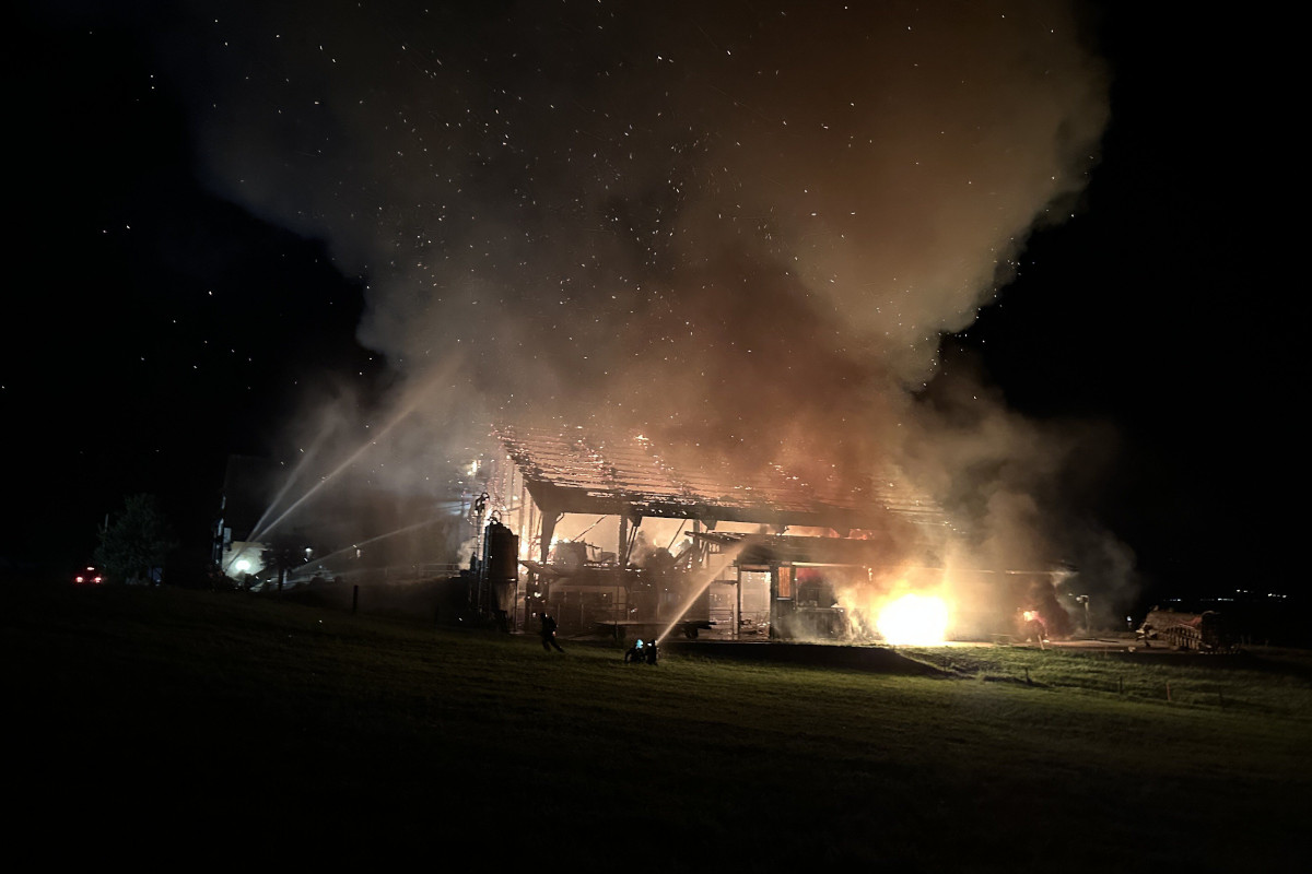 Brand in Tuggen SZ – Stall durch Feuer zerstört