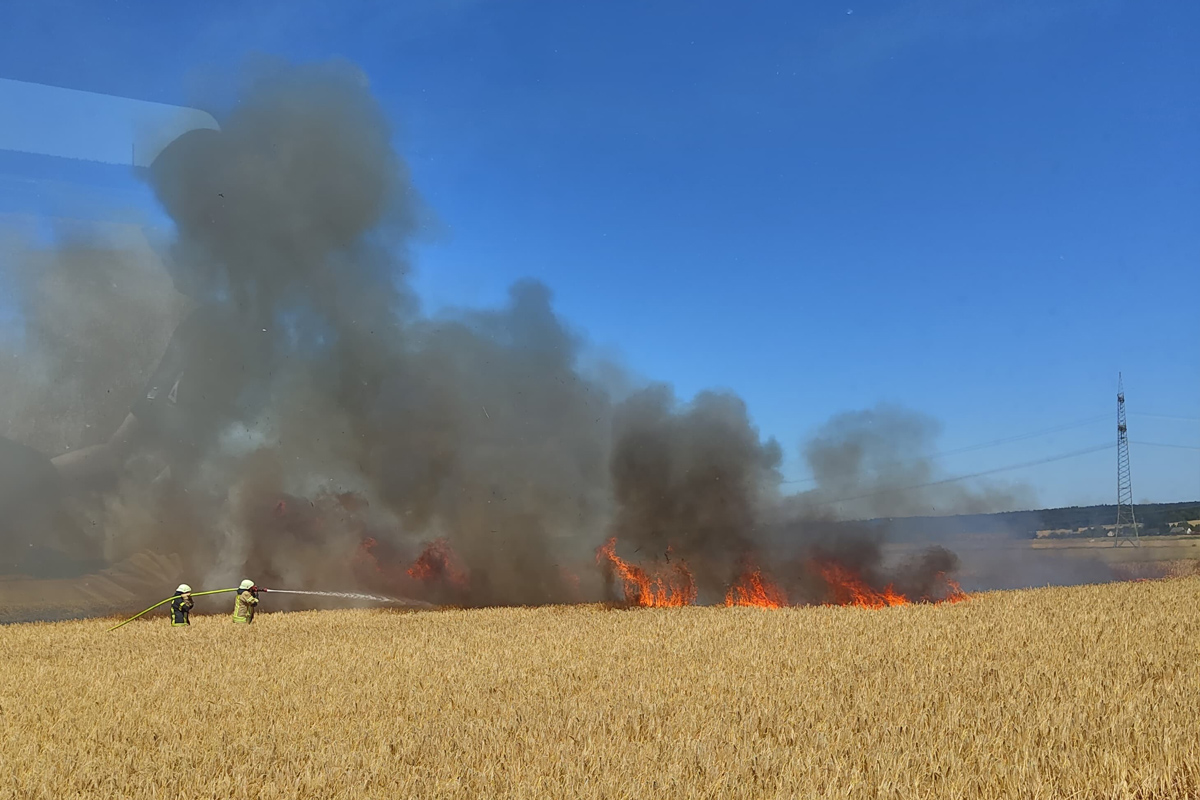 Brand von Getreidefeld in Helmstedt NI – Feuerwehr verhindert Ausbreitung