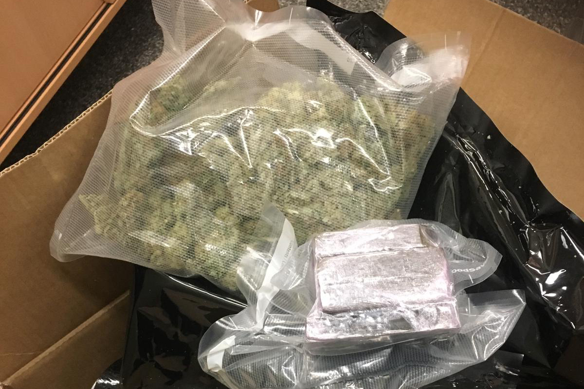 Köln NW – Zollspürhündin entdeckt 26 Kilo Drogen im Paketzentrum