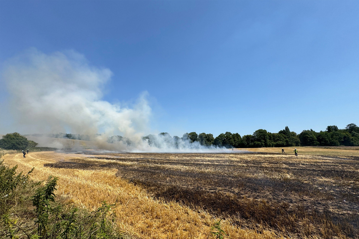 Erkrath NW – Feuerwehr kann Übergreifen von Flächenbrand auf Wald verhindern