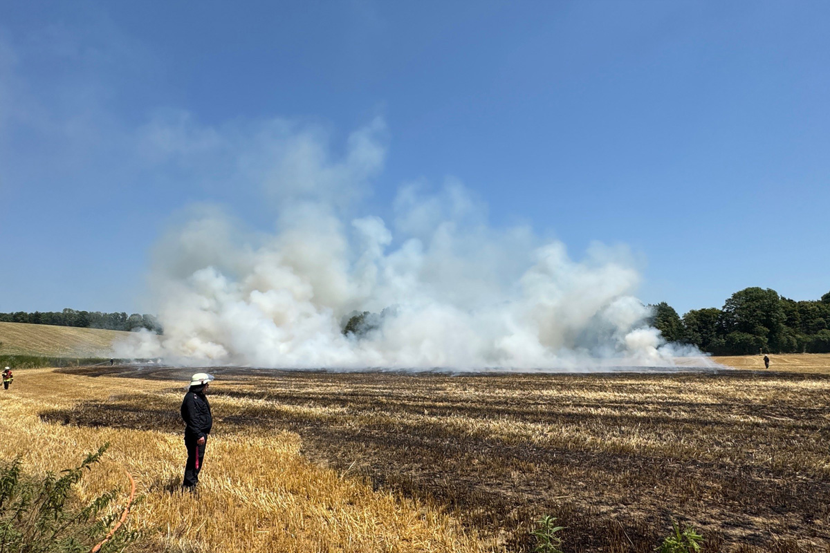 Erkrath NW – Feuerwehr kann Übergreifen von Flächenbrand auf Wald verhindern