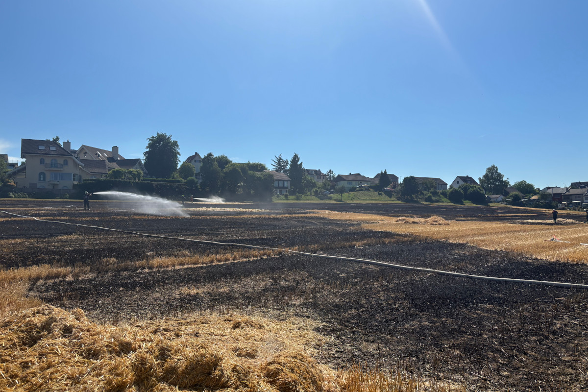 Münsterlingen & Hörhausen TG – Mehrere Brände auf Feldern