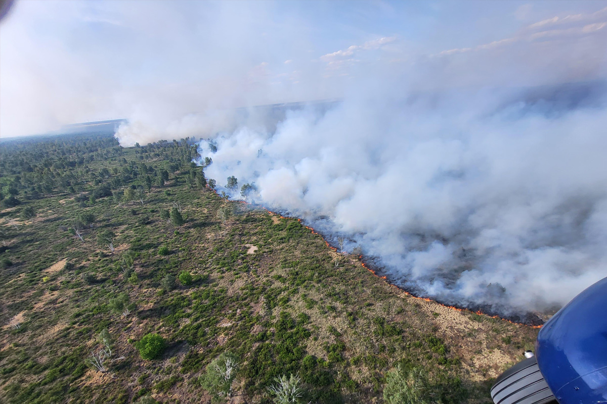 Gohrischheide SN – Bundespolizei wirft 63.000 Liter Löschwasser aus der Luft ab