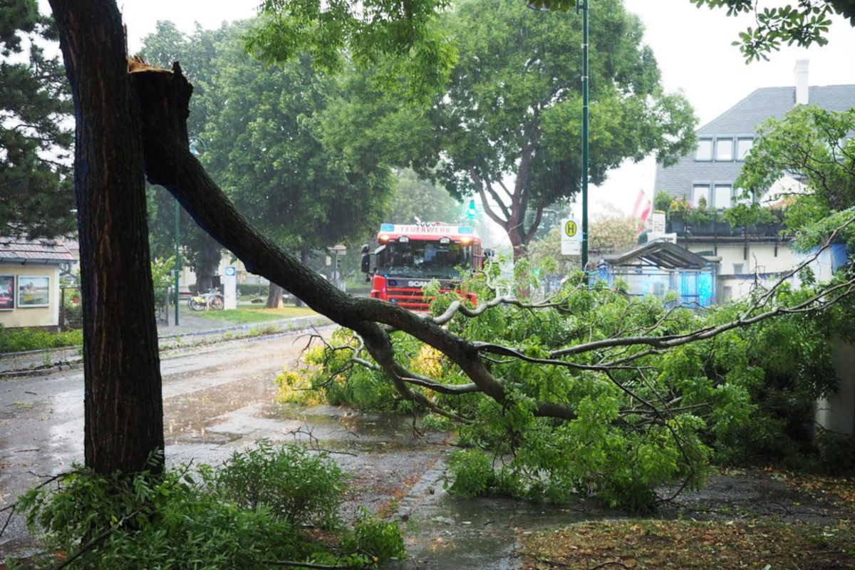 Biedermannsdorf NÖ  – 12 Feuerwehreinsätze wegen Unwetter