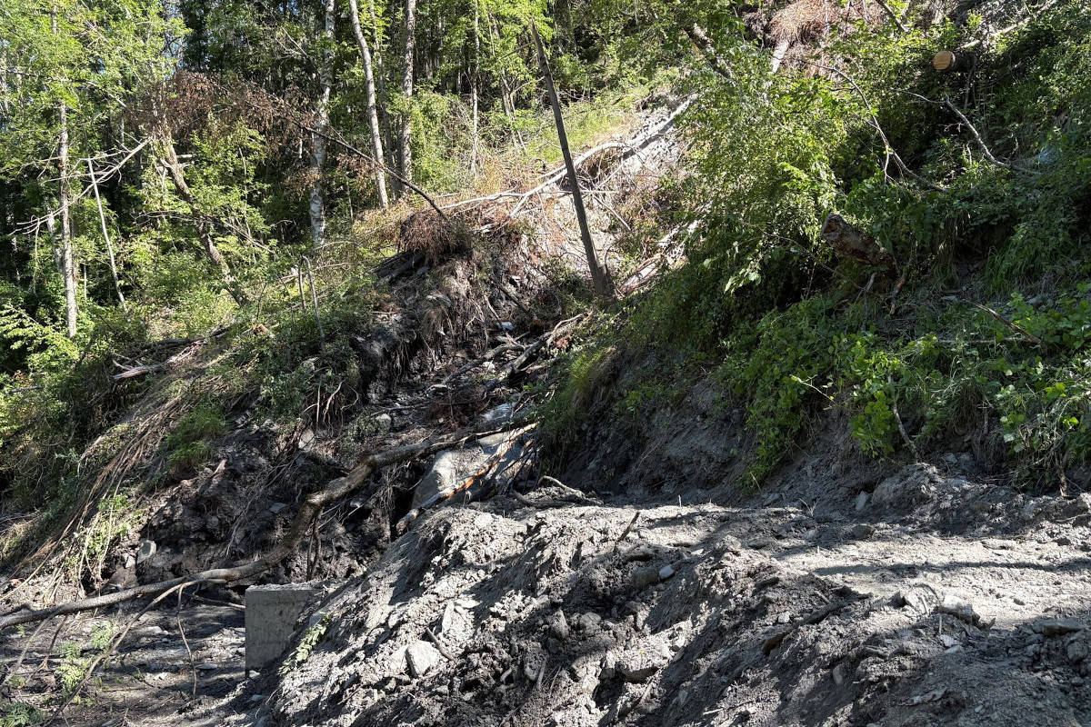 Tödlicher Arbeitsunfall in Staldenried VS – Mann stirbt bei Sägearbeiten