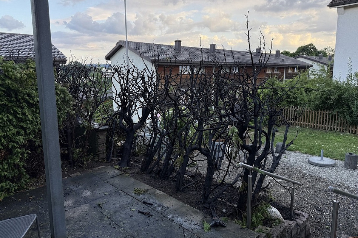 Stadt Schaffhausen – Thuya Hecke in Brand geraten