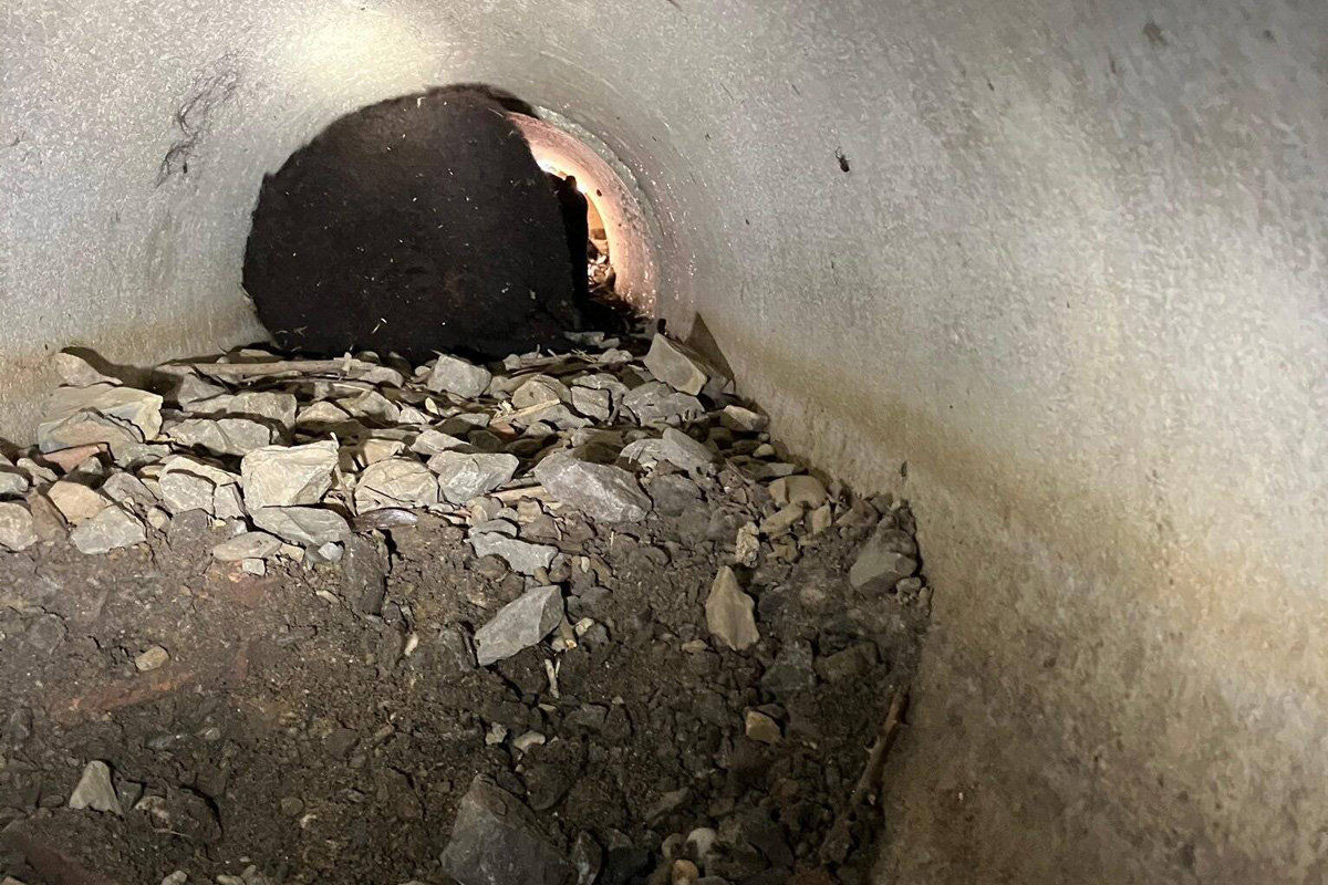 Haan NW – Feuerwehr rettet Schafbock aus Regenrohr