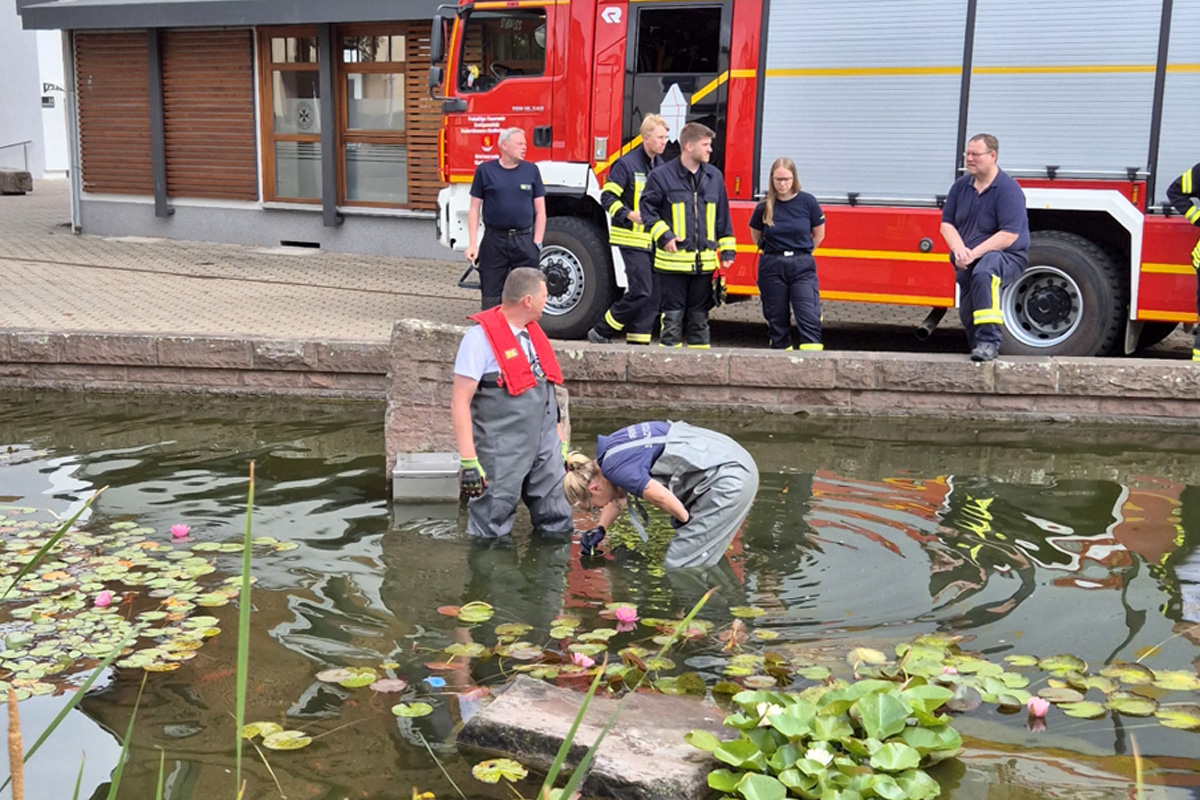 Stadtoldendorf NI – Feuerwehr rettet Küken aus Wasserrohr