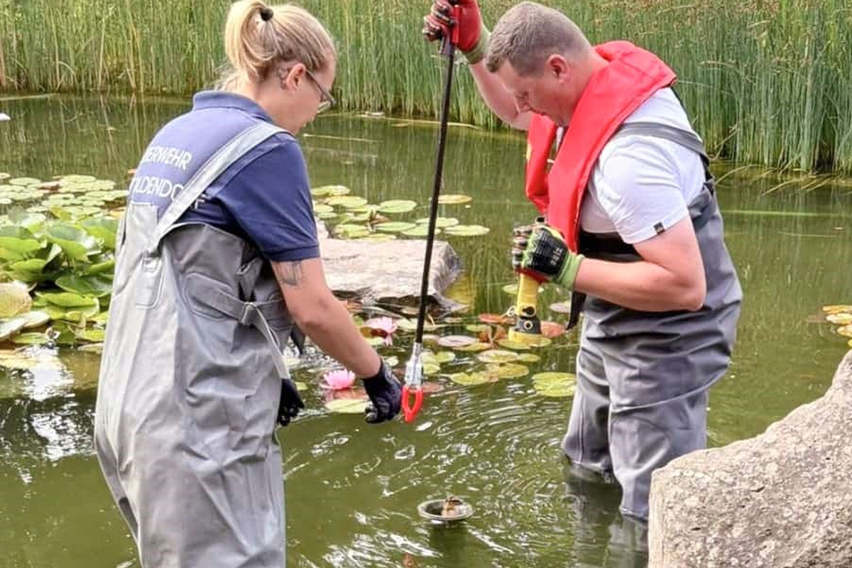 Stadtoldendorf NI – Feuerwehr rettet Küken aus Wasserrohr